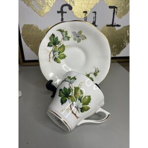 Vtg Royal Dover Hand Painted Grapevine Leaf Tea Cup‎ & Saucer Bone China England